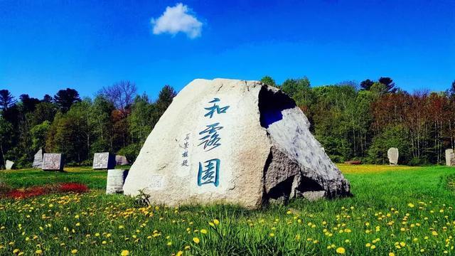 自治区国资委党委召开监管企业党组织书记2023年度抓基层党建述职评议会议