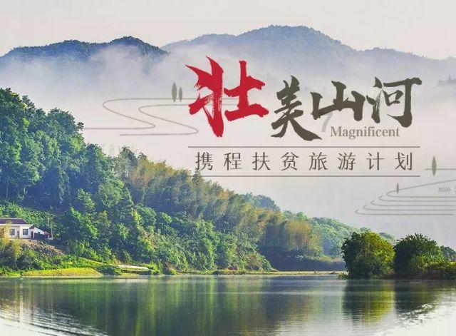 虫虫助手下载