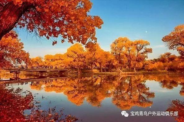 猴王悟空
