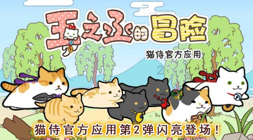 代表会前备“功课” 深入选区听“民意”