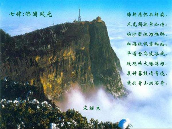 逗小猴开心系列207